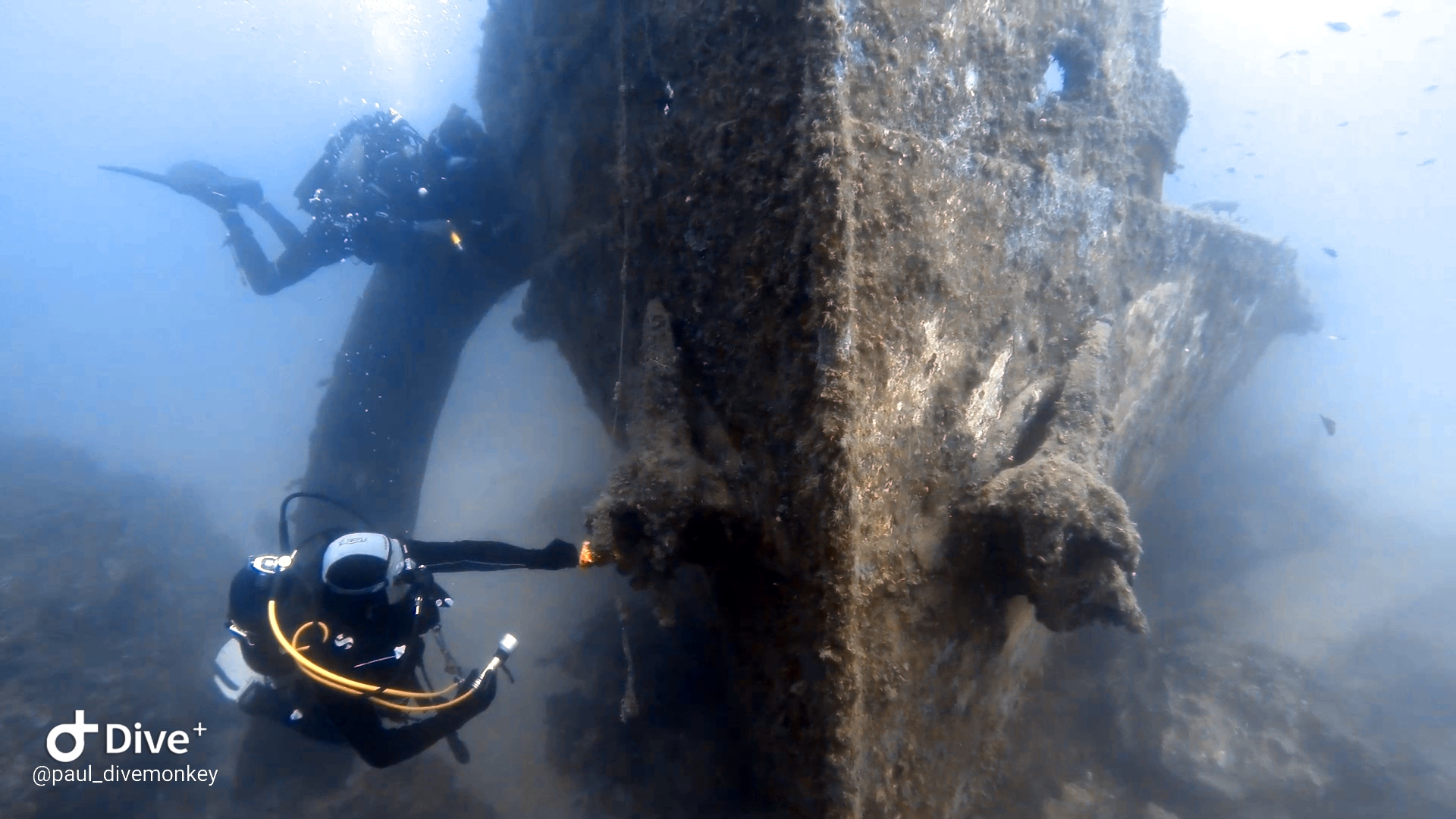 imperial eagle wreck