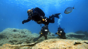 aquaventure malta discover scuba saver